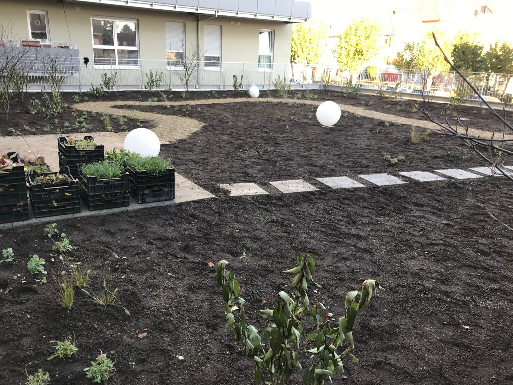 Intensive Dachbegrünung mit Bäumen und Stauden – Dachgarten Bielefeld
