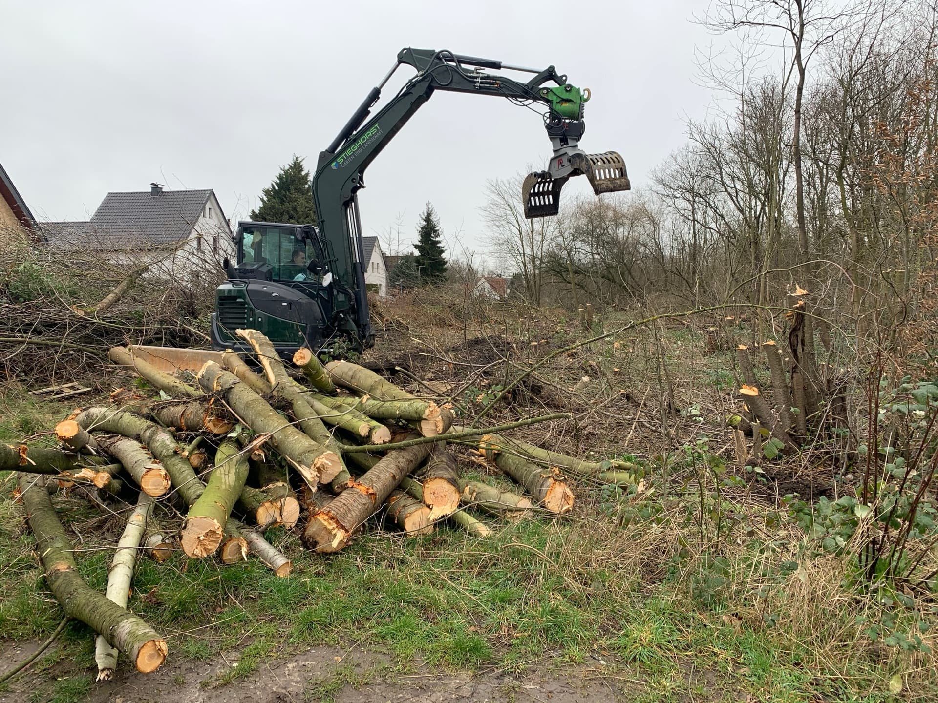 Baumfällung und Baumpflege Bielefeld