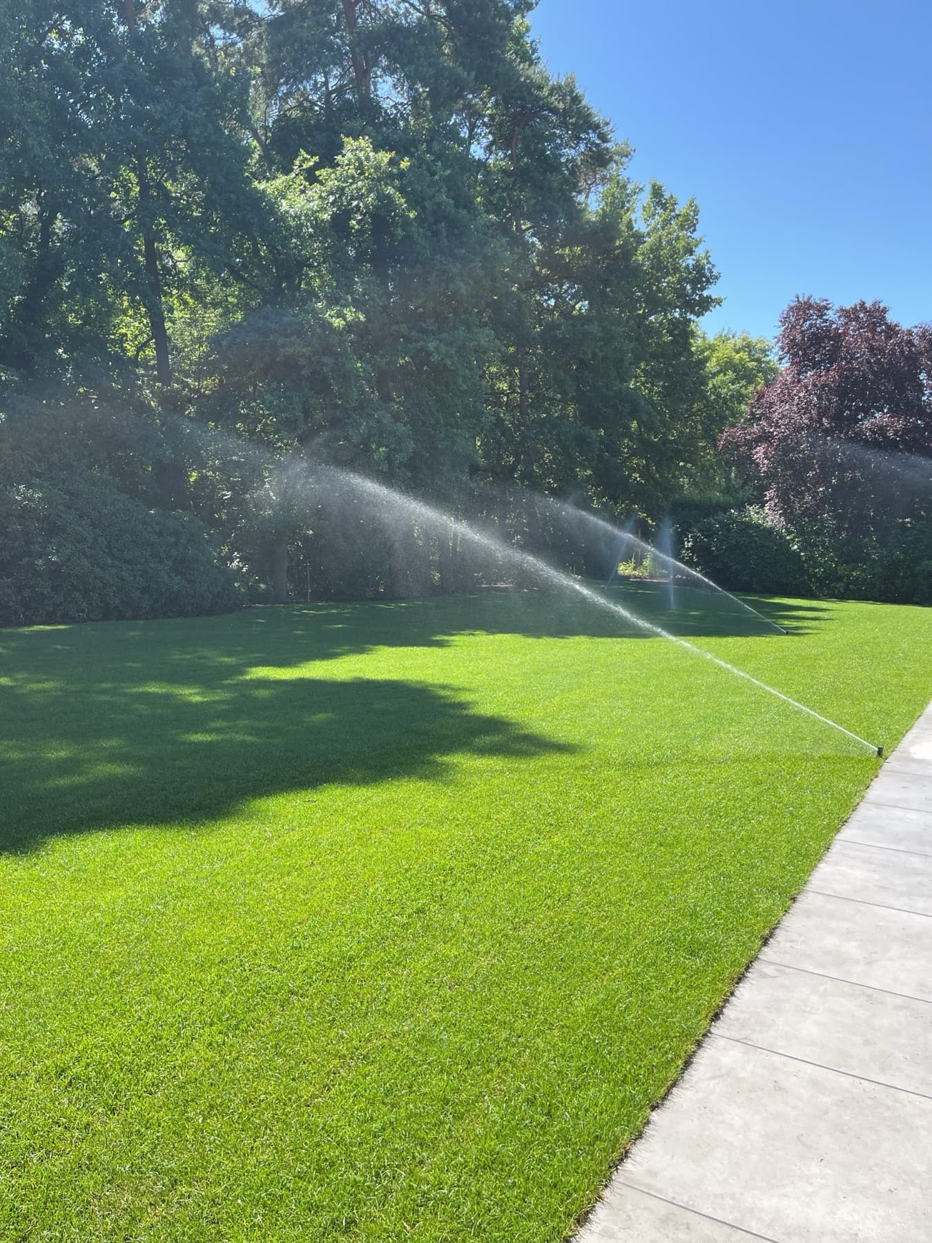 Rasen und Bepflanzung im Privatgarten Bielefeld