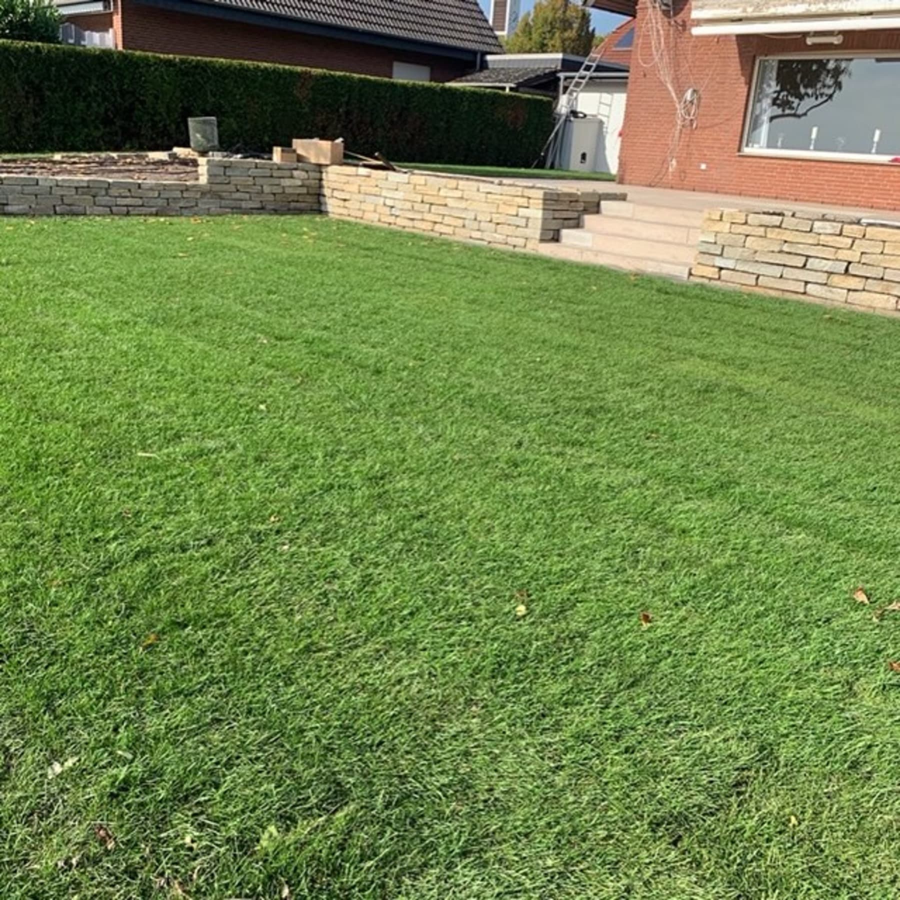 Individuelles Pflanzkonzept Privatgarten Bielefeld